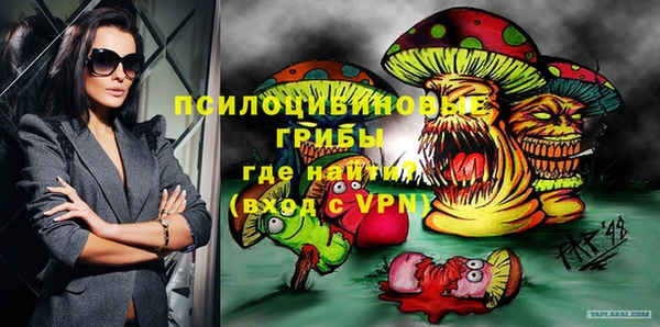 Альфа ПВП Семёнов