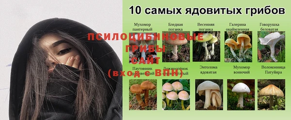 Альфа ПВП Семёнов