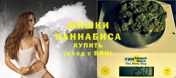 Альфа ПВП Семёнов