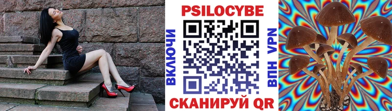Псилоцибиновые грибы мицелий  Горбатов 